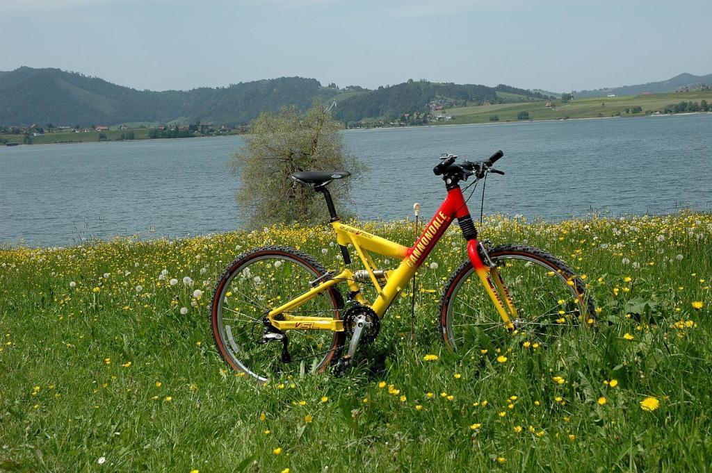 B&B Ferienhof Am See Willerzell Kültér fotó