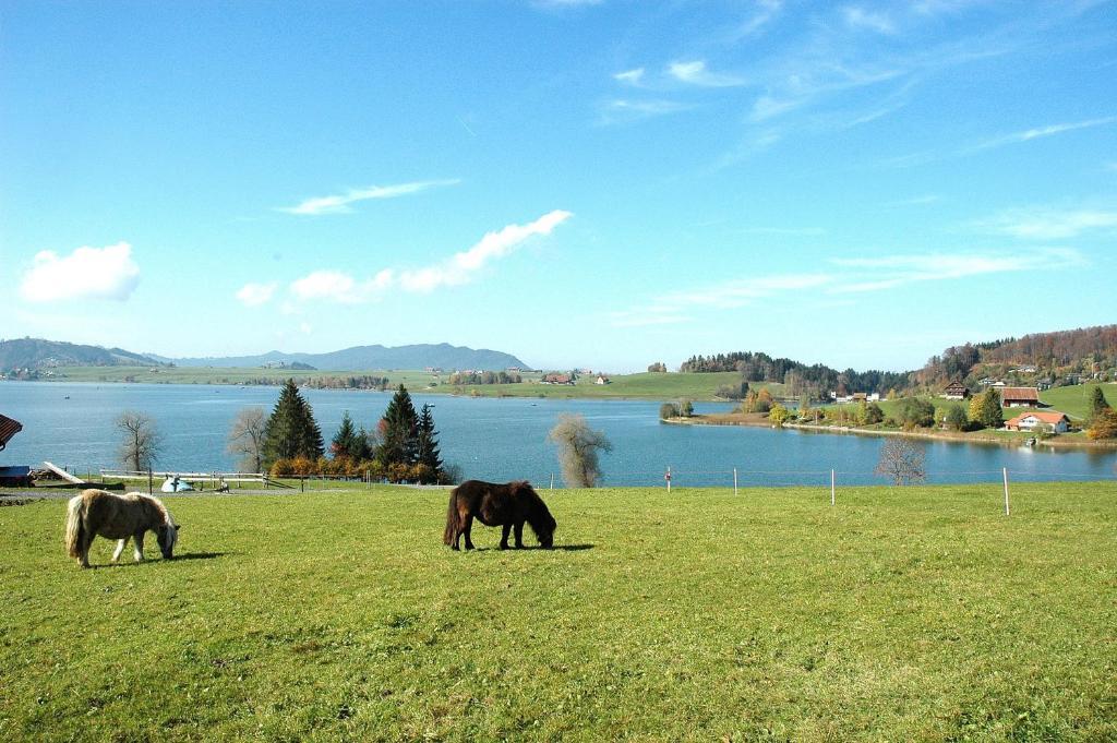 B&B Ferienhof Am See Willerzell Kültér fotó